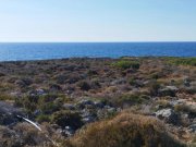 Stavros Kreta, Stavros: Küstengrundstücke mit Baugenehmigung und Meerblick zu verkaufen Grundstück kaufen